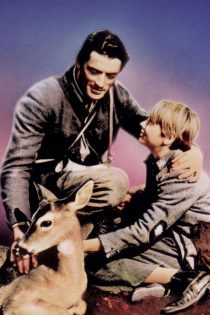 دانلود دوبله فارسی فیلم The Yearling 1946