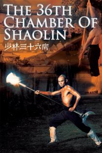 دانلود دوبله فارسی فیلم The 36th Chamber of Shaolin 1978