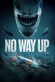 دانلود دوبله فارسی فیلم No Way Up 2024